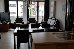 Gezellig appartement, dichtbij winkelcentrum Beveren-Waas in de Ciamberlanidreef 80 bus 101